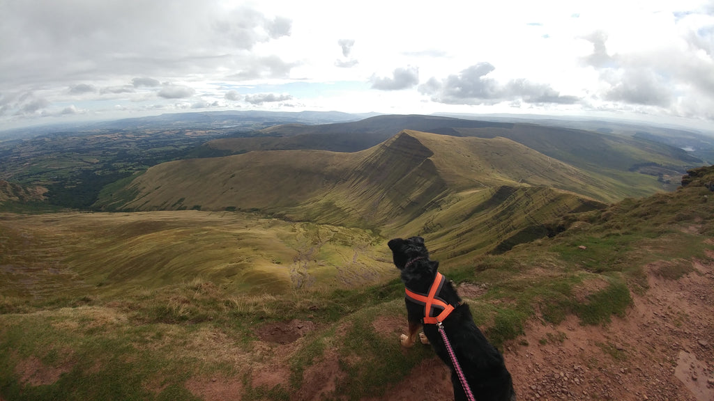 Girls' Road Trip to the Brecon Beacons