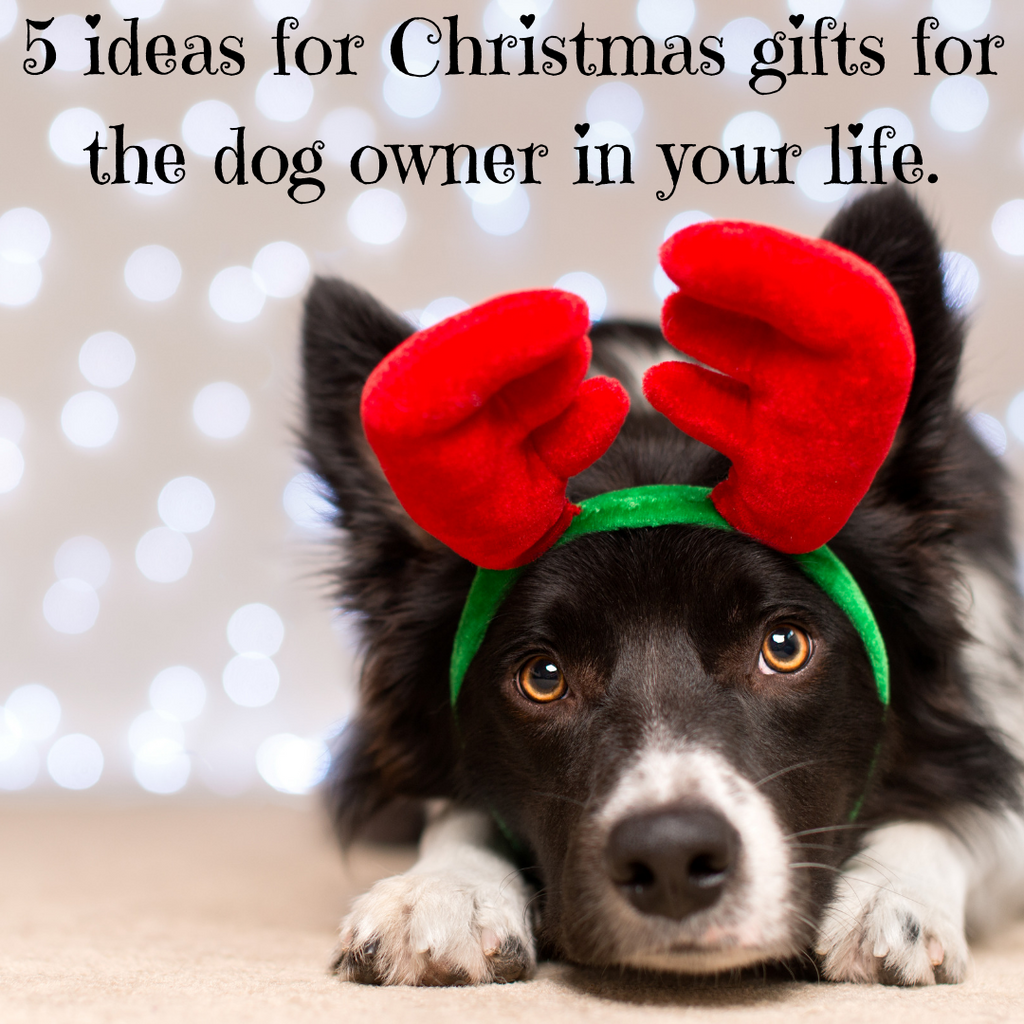 5 ideas for Christmas gifts for the dog owner in your life.