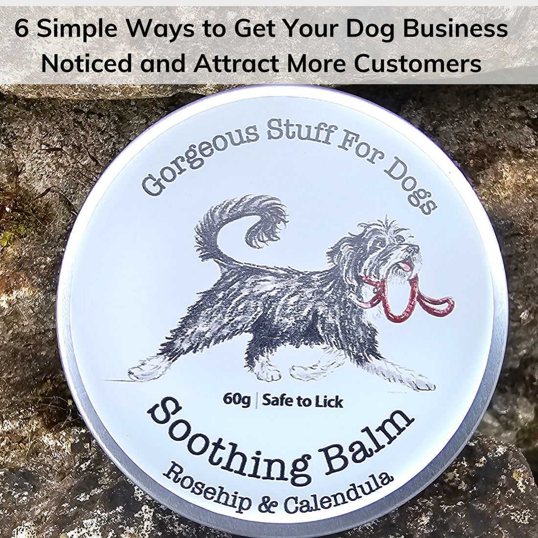 6 Simple Ways to Get Your Dog Business Noticed and Attract More Customers