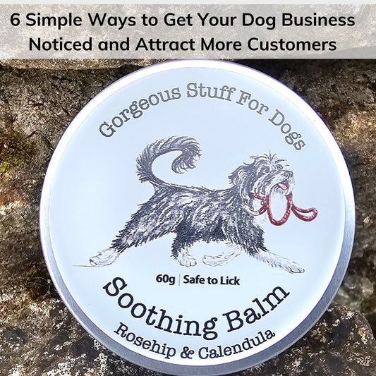 6 Simple Ways to Get Your Dog Business Noticed and Attract More Customers
