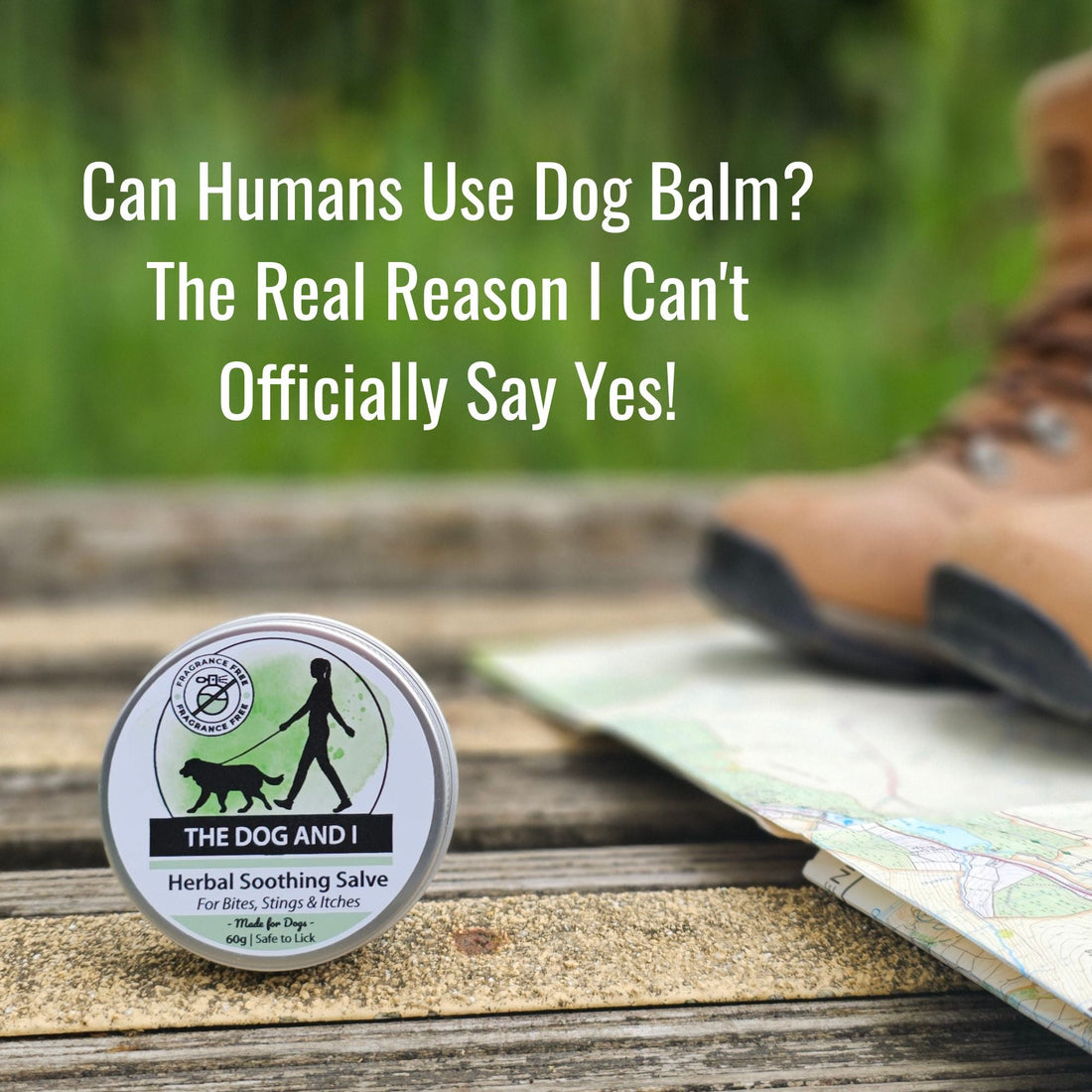 Can Humans Use Dog Balm? The Real Reason I Can't Officially Say Yes!