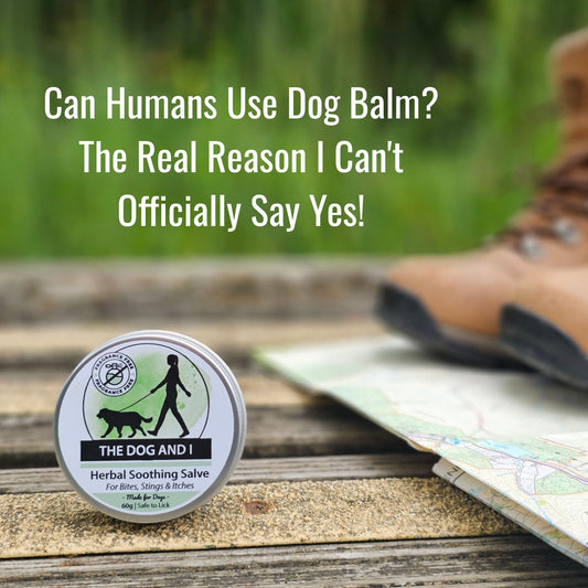 Can Humans Use Dog Balm? The Real Reason I Can't Officially Say Yes!