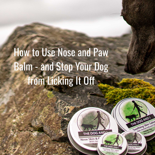 A picture of a dog nose and muzzle next to tins of nose and paw balm
