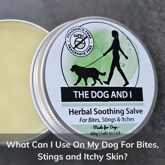 What Can I Use On My Dog For Bites, Stings and Itchy Skin?