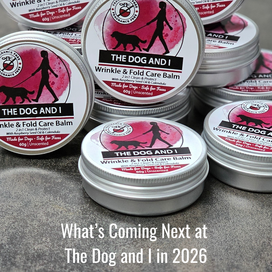 What’s Coming Next at The Dog and I in 2026