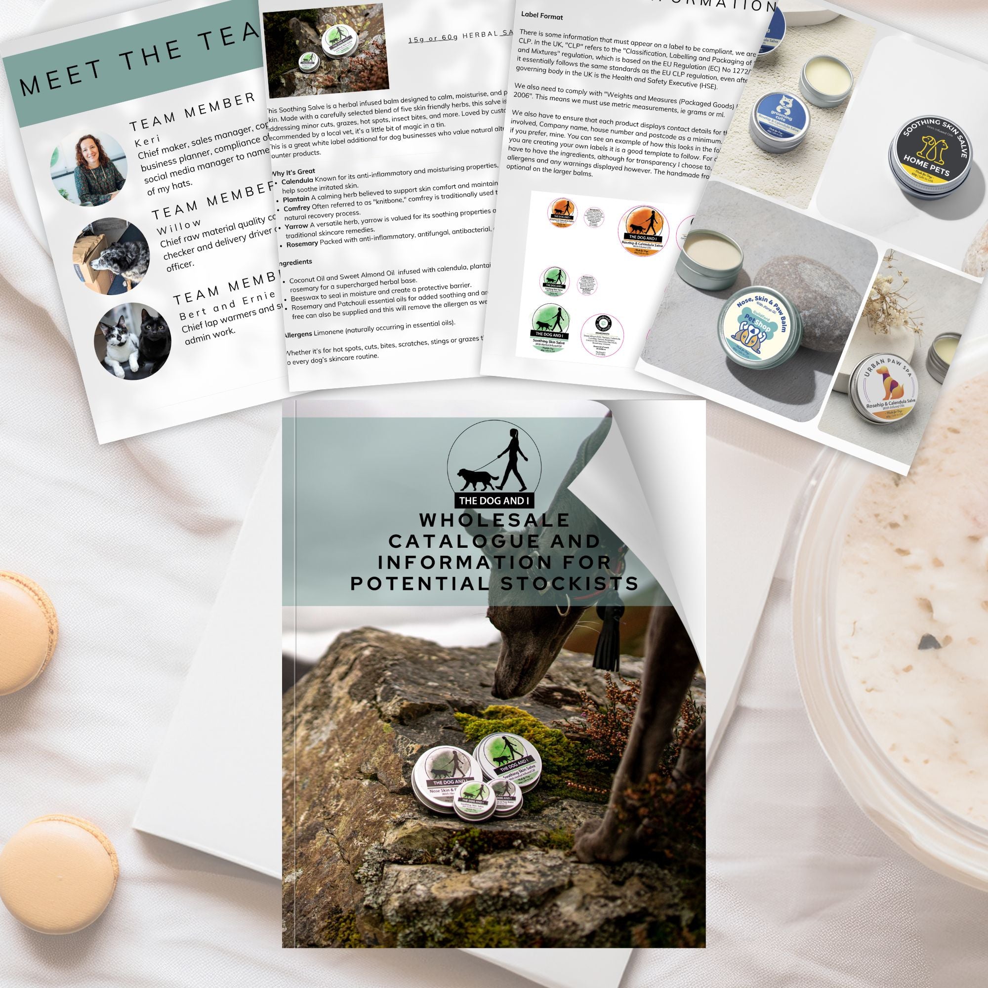 A picture of a mock up of The Dog and I Wholesale Catalogue