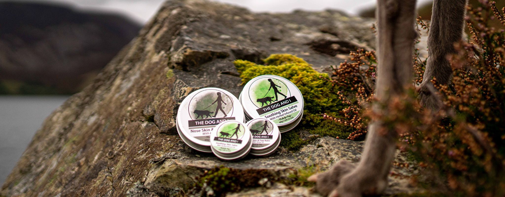 A picture of tins of nose and paw balm and soothing salve made by The Dog and I. They are placed n a rocky outcrop with a dog stood nearby whose front paws are visible