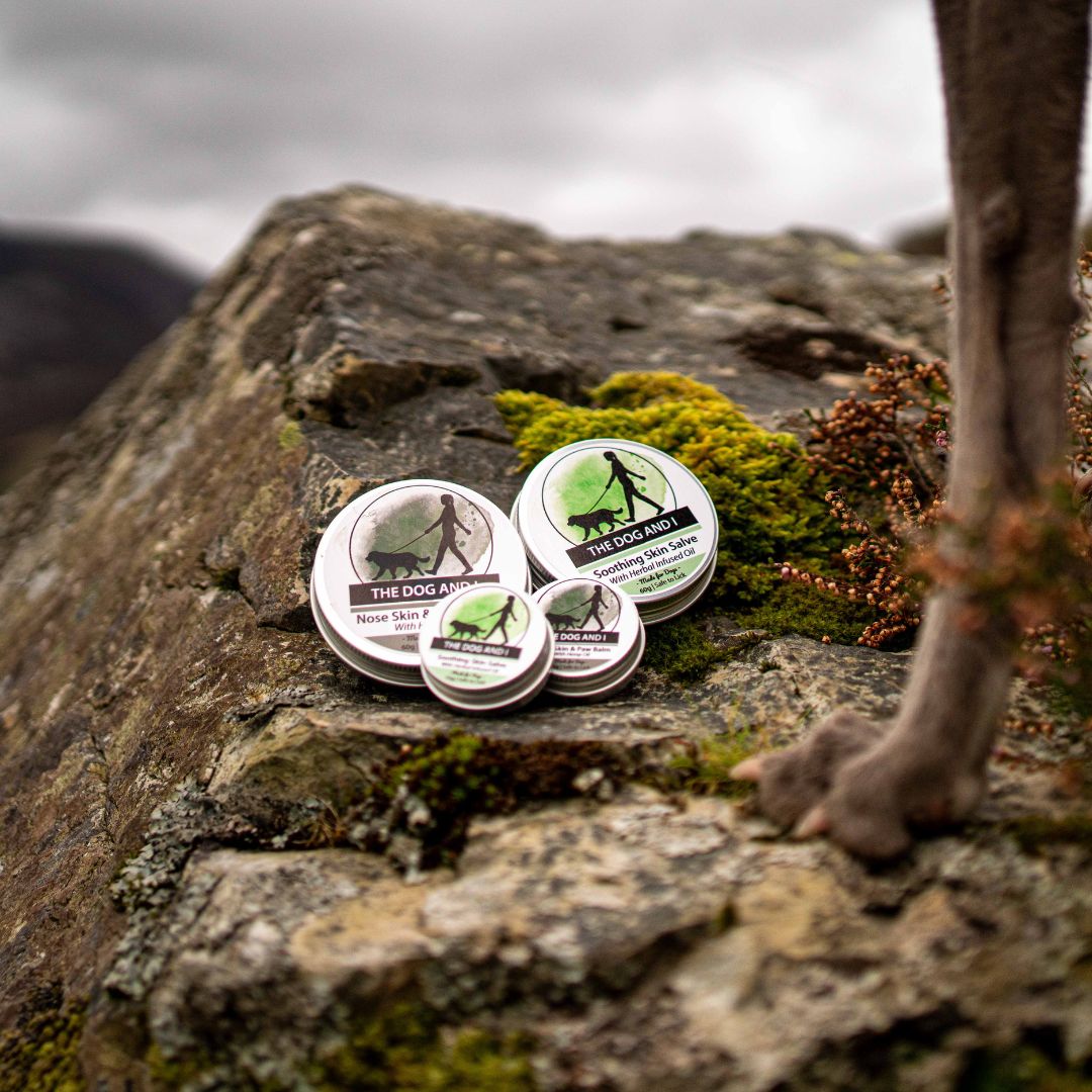 A photograph of 2 different sizes of The Dog and I branded nose, skin and paw balm  and Soothing Salve balanced on a rocky outcrop, the front paw of a dog can been seem stood nearby